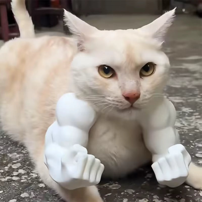 Meowceps - Buff Cat Arms