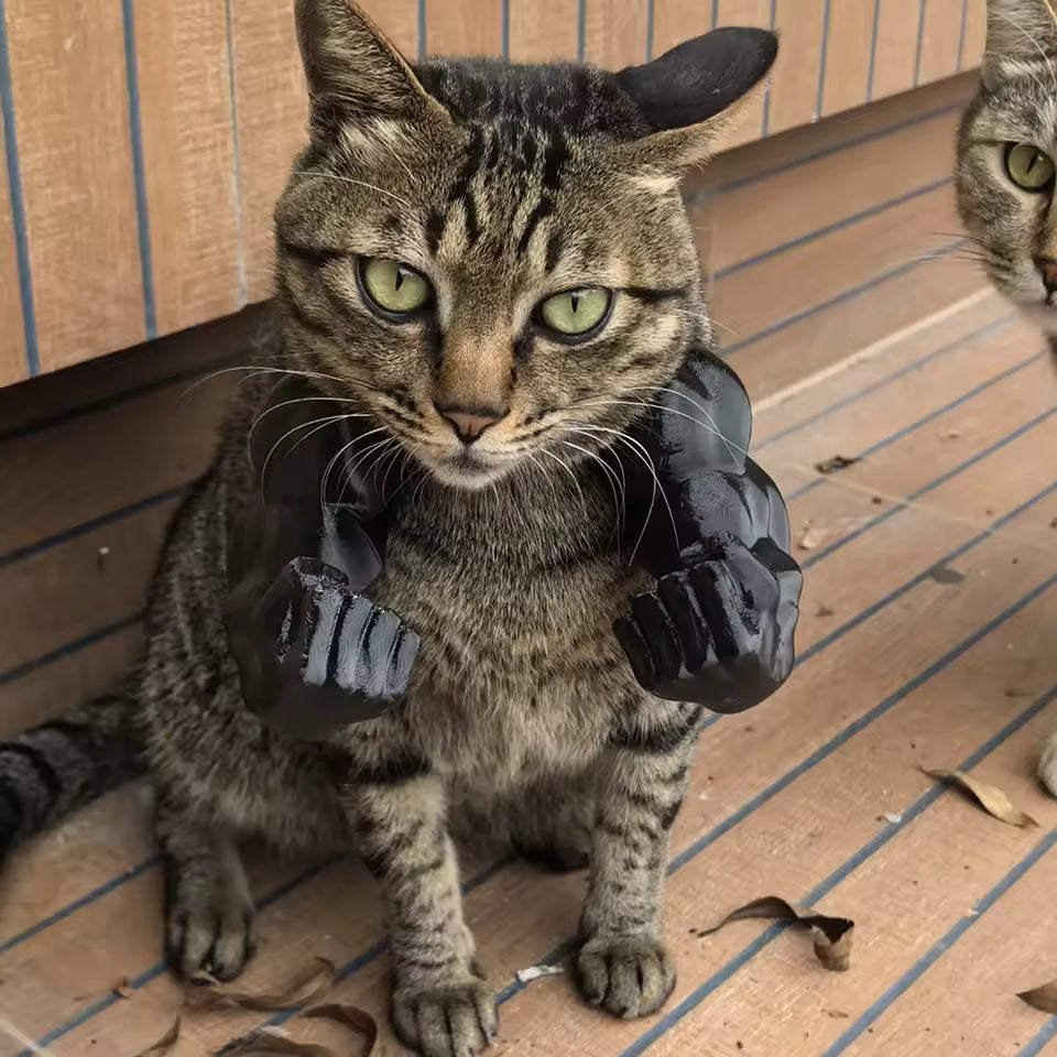 Meowceps - Buff Cat Arms